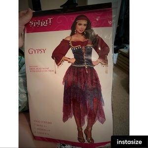 Gypsy Halloween Costume: Adult Large